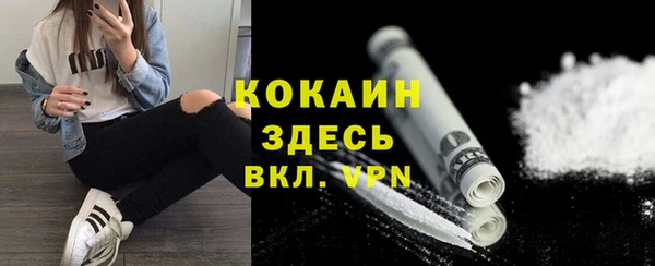 шишки Армянск