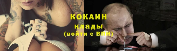 шишки Армянск