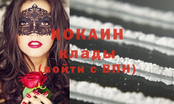 шишки Армянск